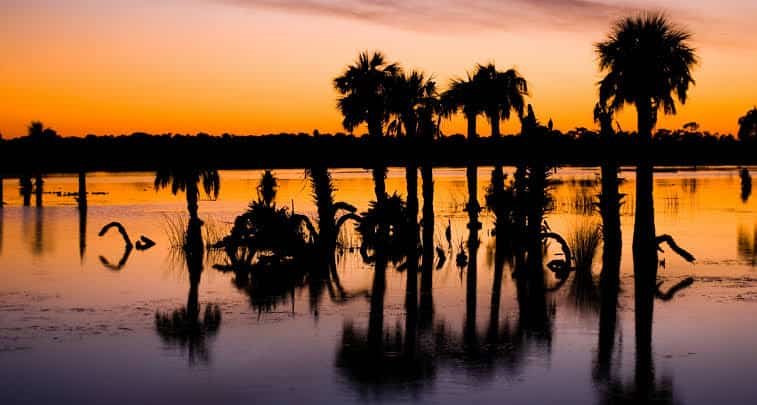 Orange County, Florida